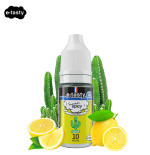 Kipick 10ml Nic Salt - Summer Spicy by E.Tasty
