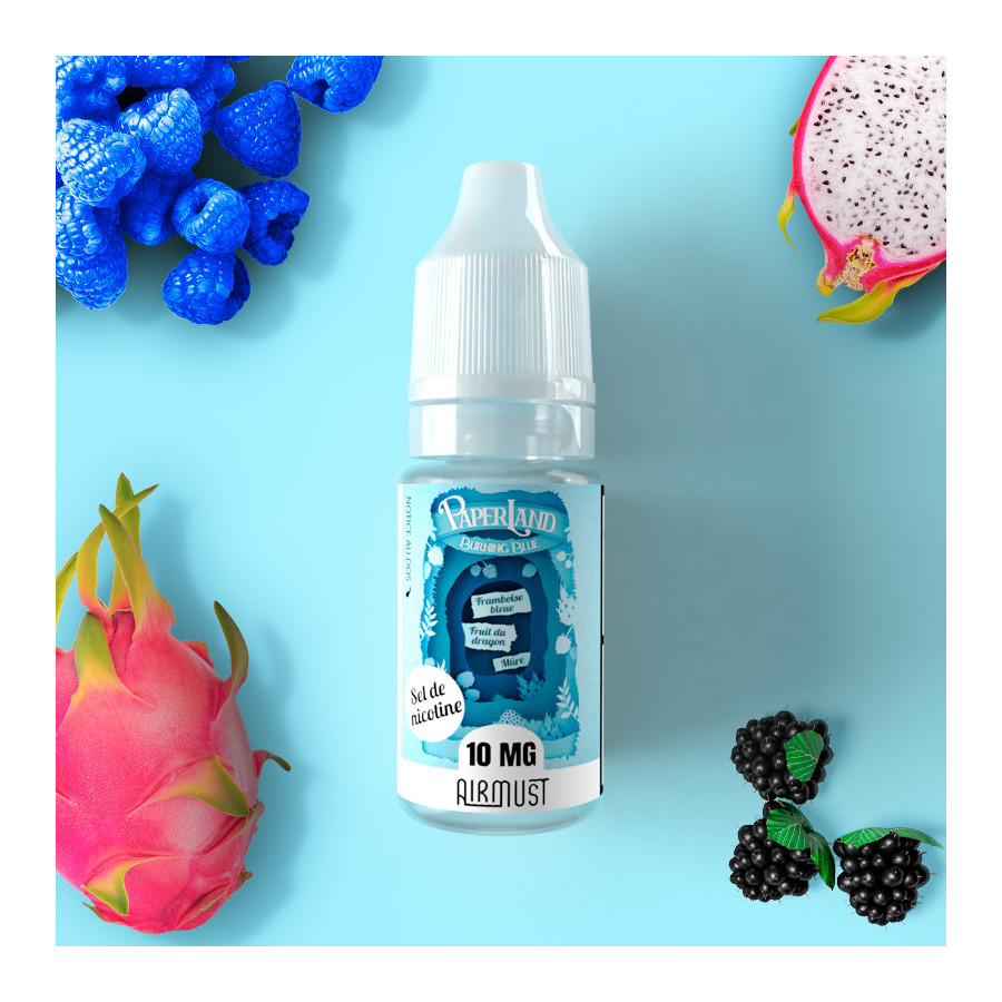 Burning Blue 10ml Nic Salt - Paperland by Airmust
