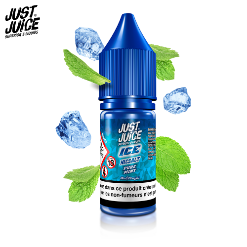Pure Mint Nic Salt Ice Just Juice 10ml