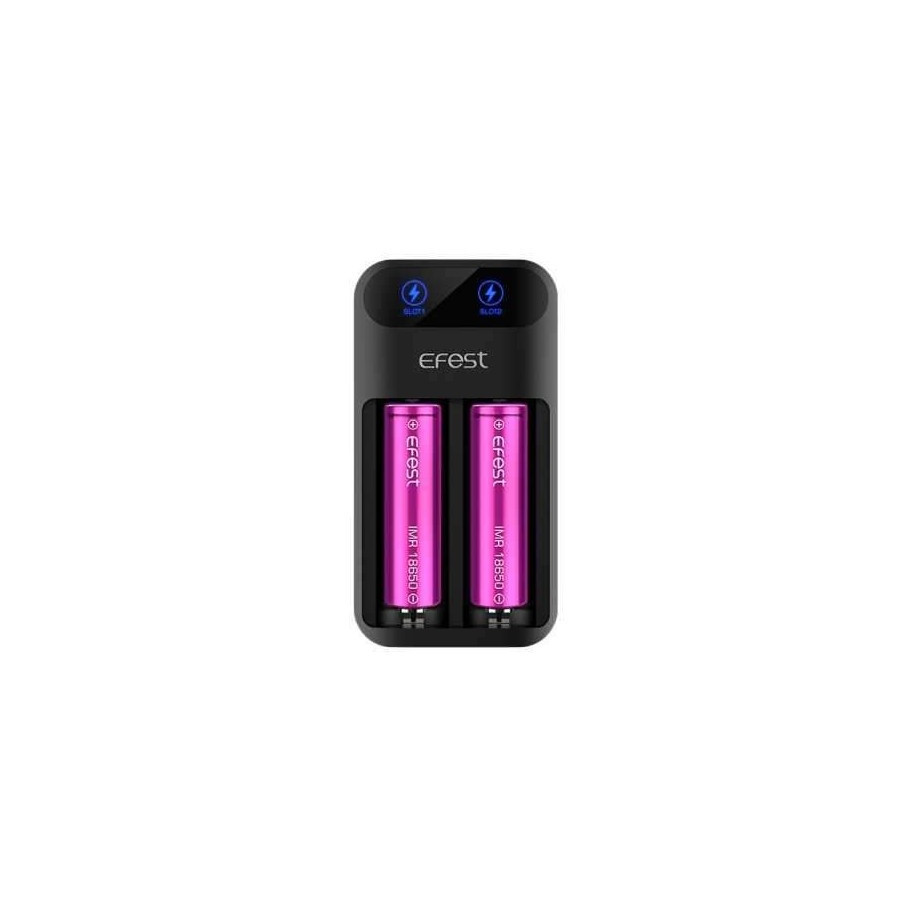Chargeur VC2 2 ACCUS de XSTAR