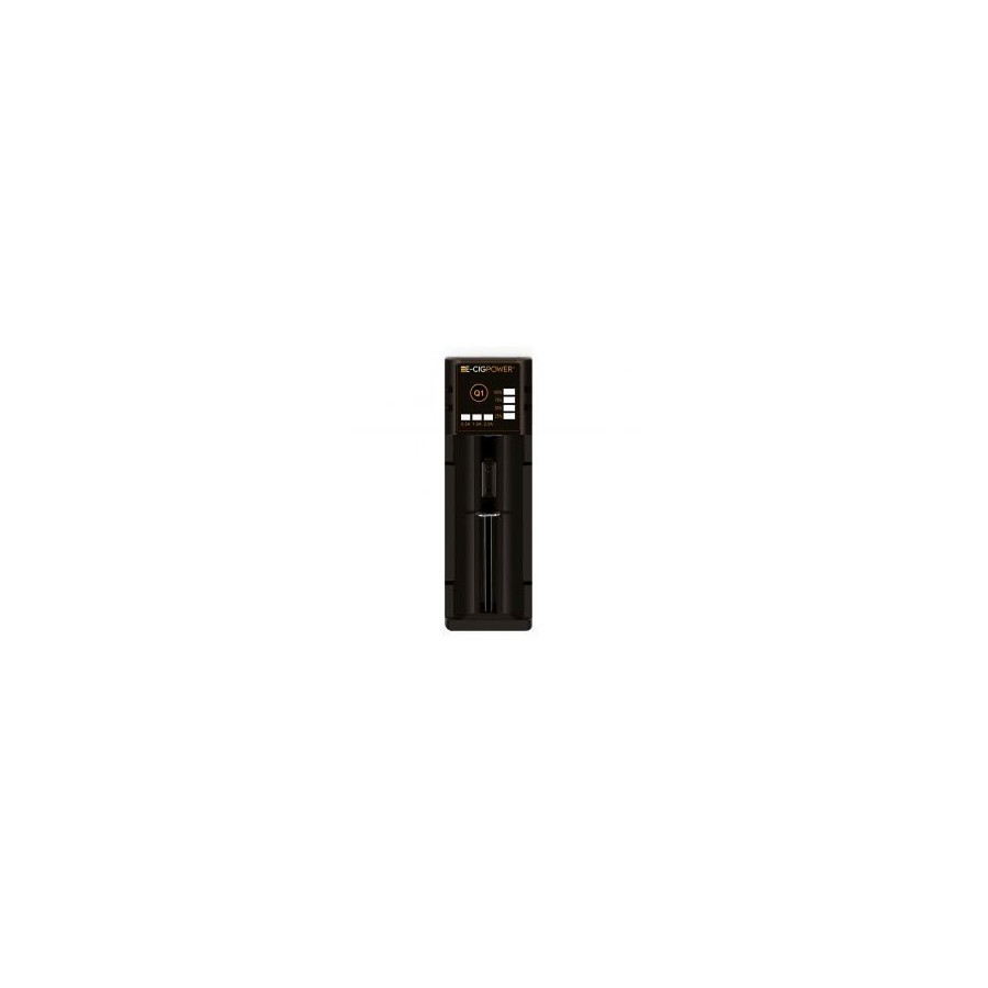 Chargeur VC2 2 ACCUS de XSTAR