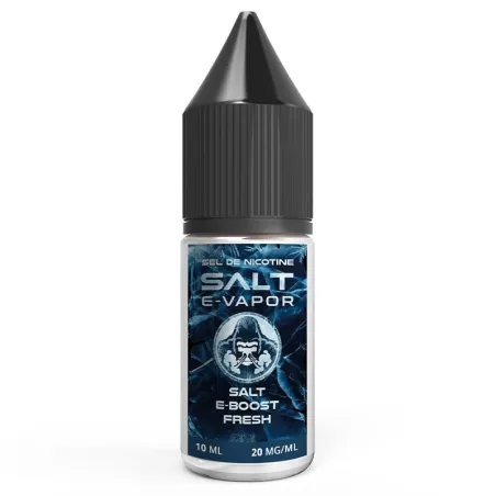Booster Sels de Nicotine Fresh