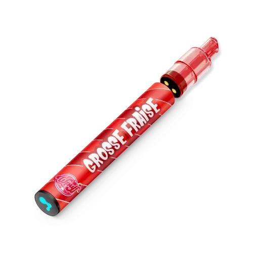 Kit Grosse Fraise 800 Puffs 2.0