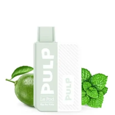 Pastèque Melon Givrés