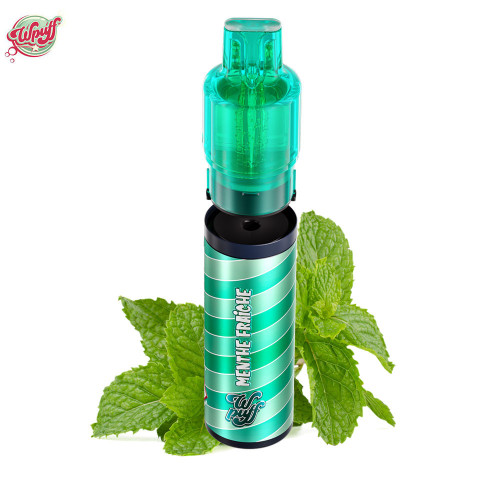 Kit Wpuff Fusion Pod System (Cartouche 10+2mL) 1% Liquideo - Menthe