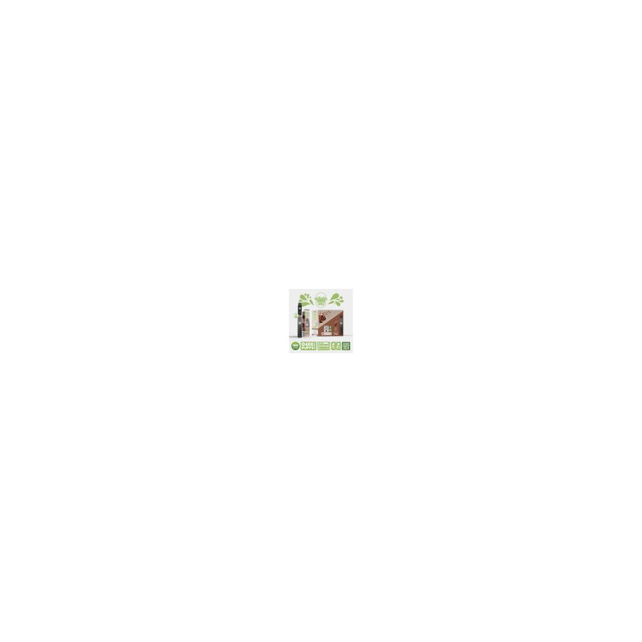 Kit Menthe - Re Puff Ma Petite Vape