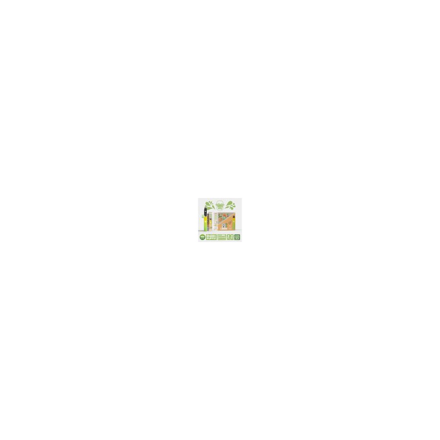 Kit Menthe - Re Puff Ma Petite Vape