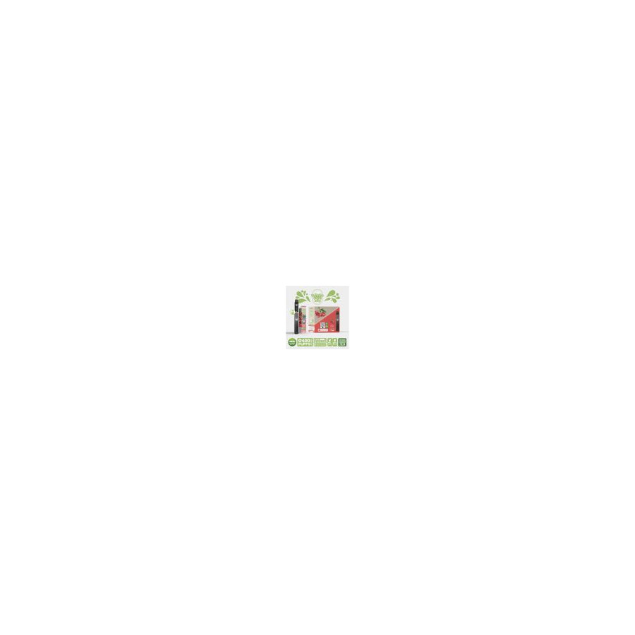 Kit Menthe - Re Puff Ma Petite Vape