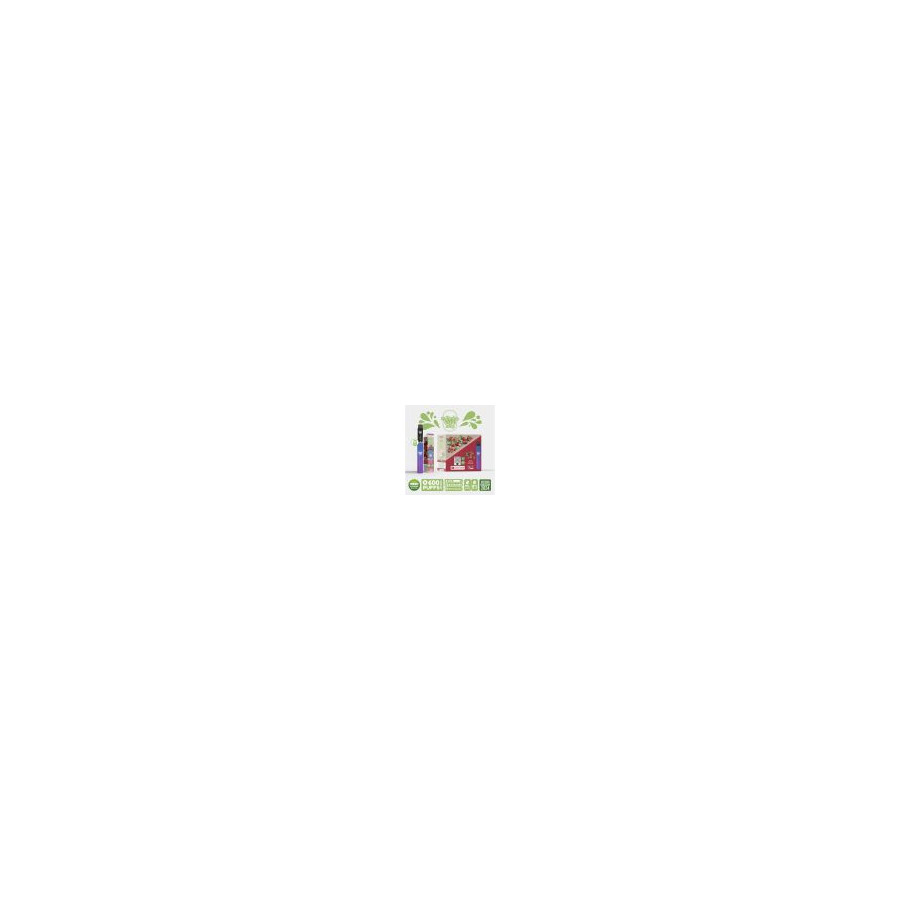 Kit Menthe - Re Puff Ma Petite Vape