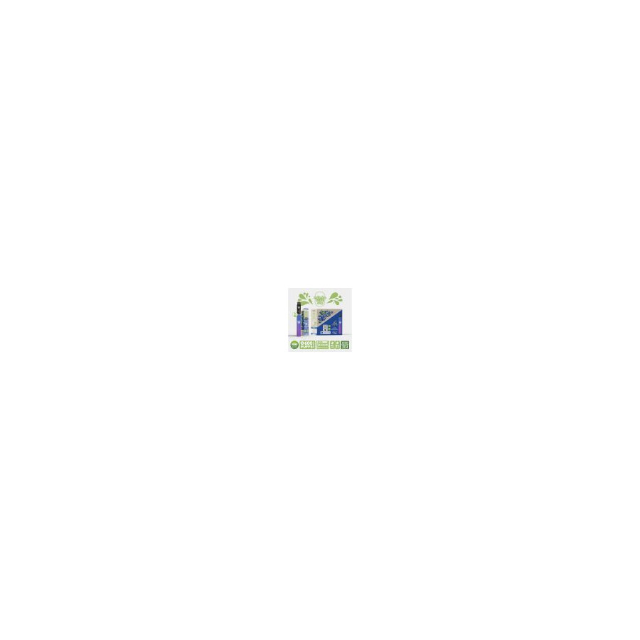 Kit Menthe - Re Puff Ma Petite Vape