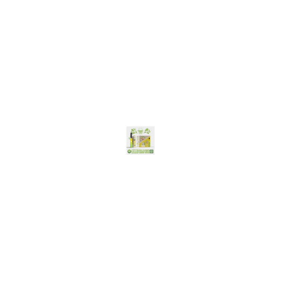 Kit Menthe - Re Puff Ma Petite Vape