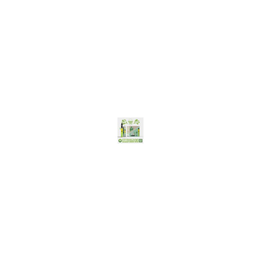Kit Menthe - Re Puff Ma Petite Vape