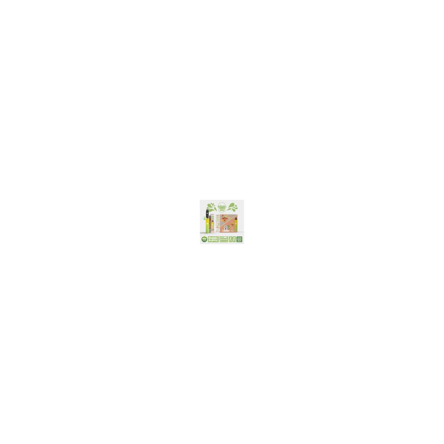 Kit Menthe - Re Puff Ma Petite Vape