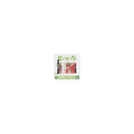 Kit Peche Ice - Re Puff Ma Petite Vape