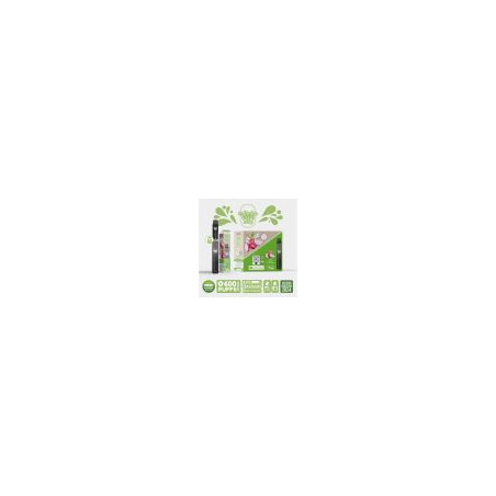 Kit Peche Ice - Re Puff Ma Petite Vape