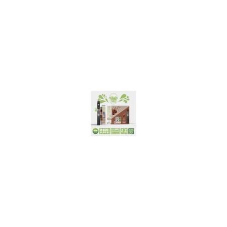 Kit Peche Ice - Re Puff Ma Petite Vape