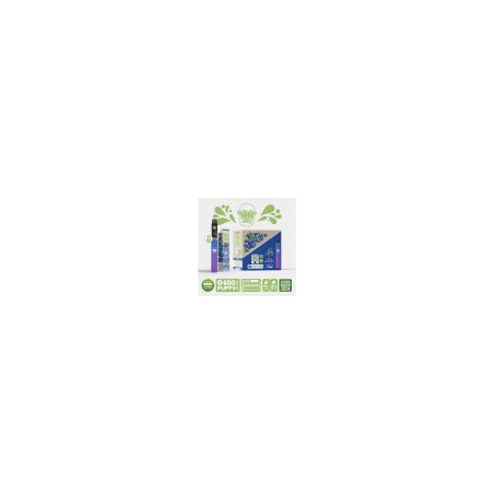 Kit Peche Ice - Re Puff Ma Petite Vape