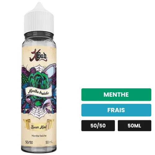 E-liquide Spear Mint de Liquideo, 50 ml, saveurs menthe et frais.