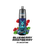 Puff Tornado Blueberry Ice 15000 2% + 2 Liquides 10ml - Tornado & White Rabbit
