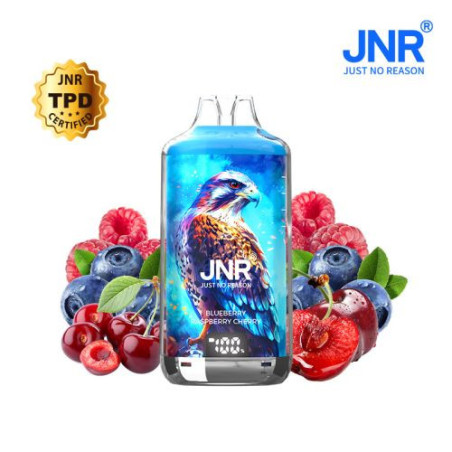 Kit Falcon X 28000 10ml (2x10ml 20mg) JNR - Blueberry Sour Raspberry