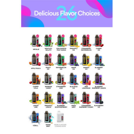 Kit Black Dragon Ice 24000 puffs 2X10ml - Joker by JNR