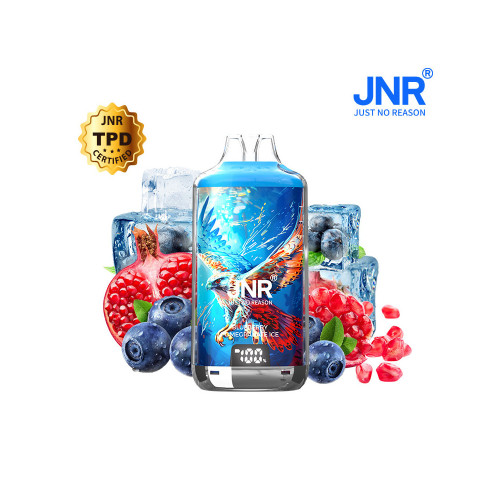 Kit Falcon X 28000 10ml (2x10ml 20mg) JNR - Blueberry Pomegranate Ice
