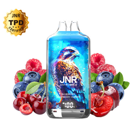 Puff Falcon-X Plus 28K Strawberry Kiwi 950mAh 22ml - JNR