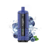 Blueberry Red Raspberry 32000 puffs - AeroX JNR