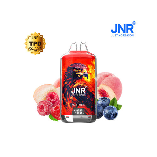 Falcon X JNR - Puff Pêche Fruit des bois