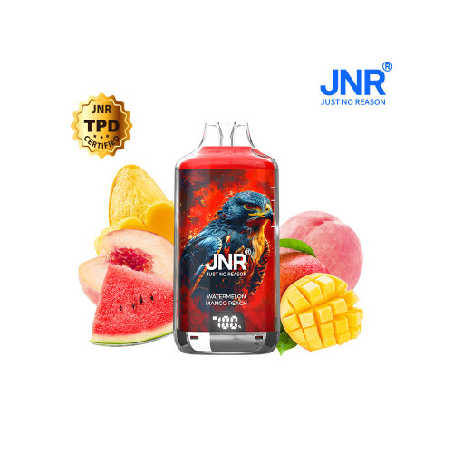 Kit Falcon X 28000 10ml (2x10ml 20mg) JNR - Watermelon Mango Peach