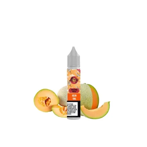 Melon Arôme Max