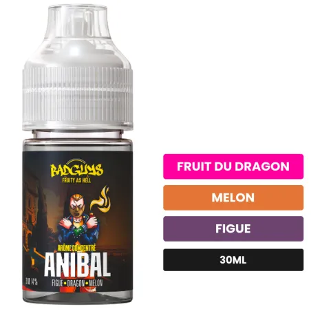 Arome concentre Anibal de Badguys, 30 ml, saveurs fruit du dragon, melon et figue.