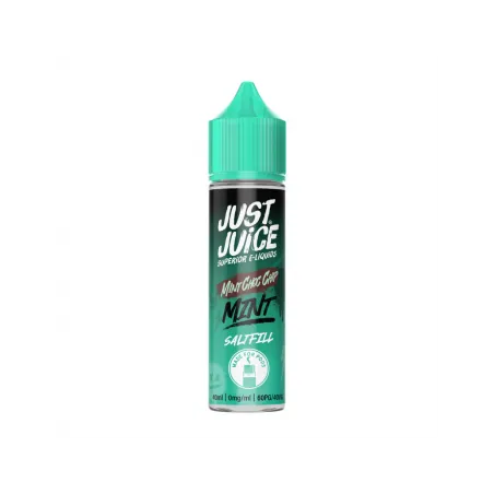 Mint Choc Chip