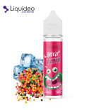 Druginbus