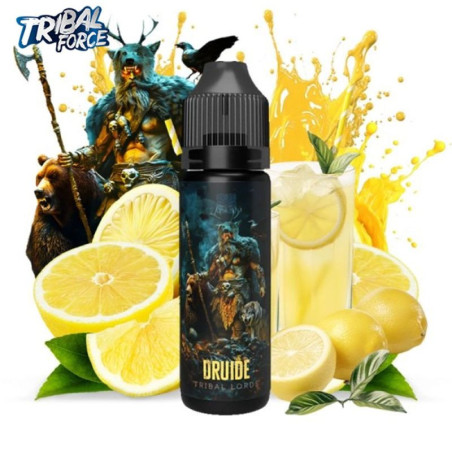 Druide