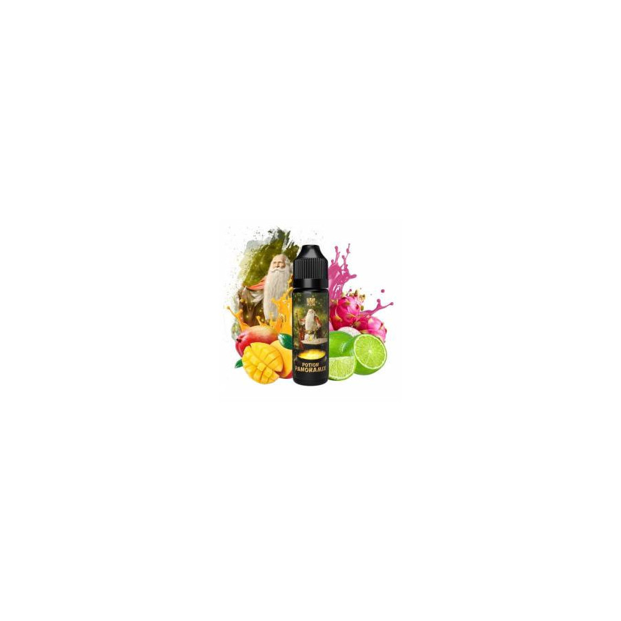 Potion Panoramix