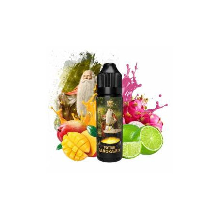 Potion Panoramix