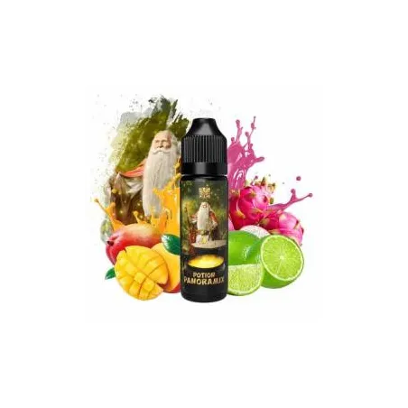 Potion Panoramix