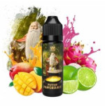 Potion Panoramix