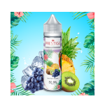 Kiwi, Raisin, Ananas