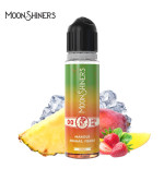 Mangue Ananas Fraise Frais