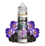 Violetta