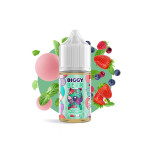 Menthe Fruits Rouges Bubble Gum