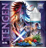 Tengen