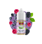 Fusion de Baies Sauvages