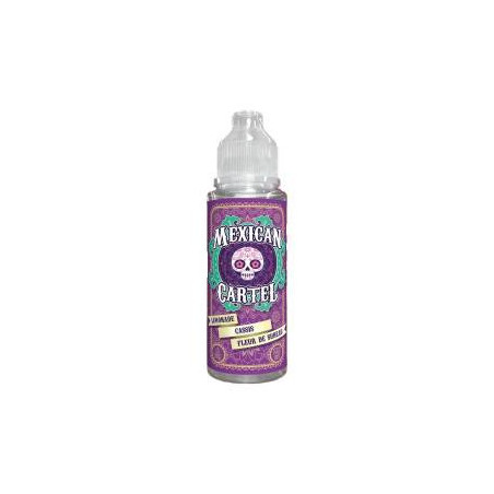 Limonade Cassis Fleur de Sureau