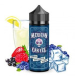 Limonade Fruits Rouges Bleuets