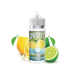 Frozen Lemon and Lime Ice