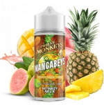 Mangabeys