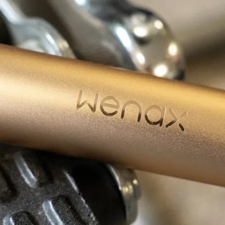 Wenax M2